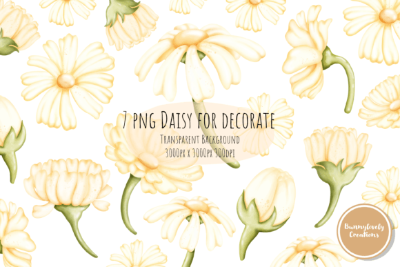 Download Daisy for Decoration - Eco Collection